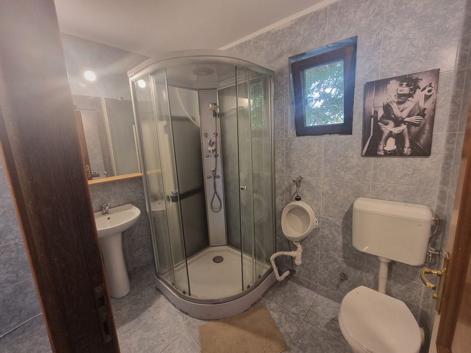 De închiriat Etaj 1 sau 2 (Open-Space Total) în Vilă – Aviației, Elena Caragiani 33