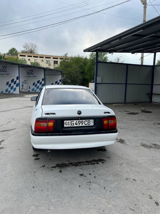 Srochno sotiladi mator qilinigan kelishtiriladd