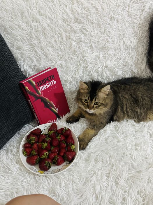Отдам даром в добрые руки .