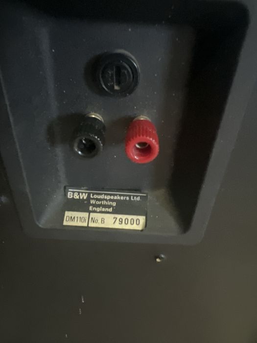 Boxe B&W DM110i functionale