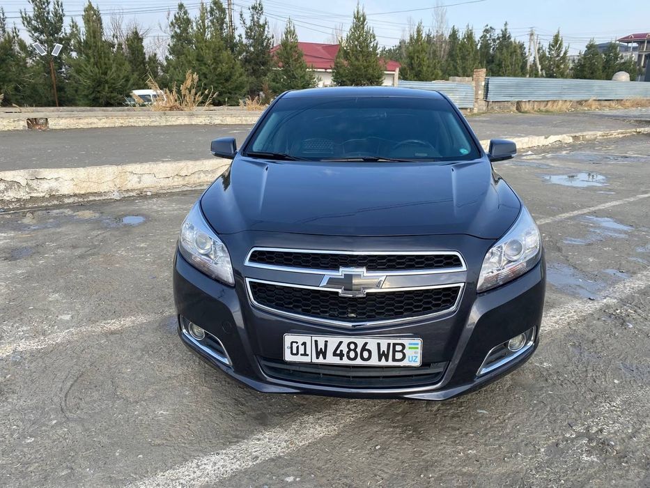 Sroshni Malibu sotiladi