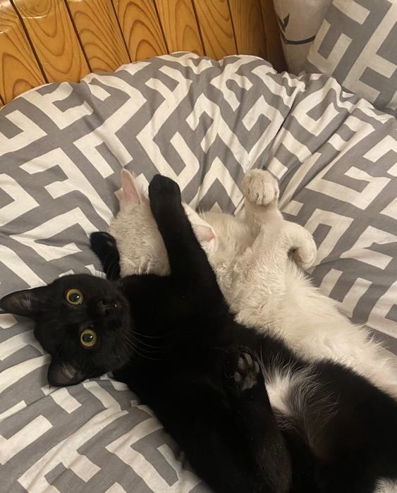 Подушка для беременных