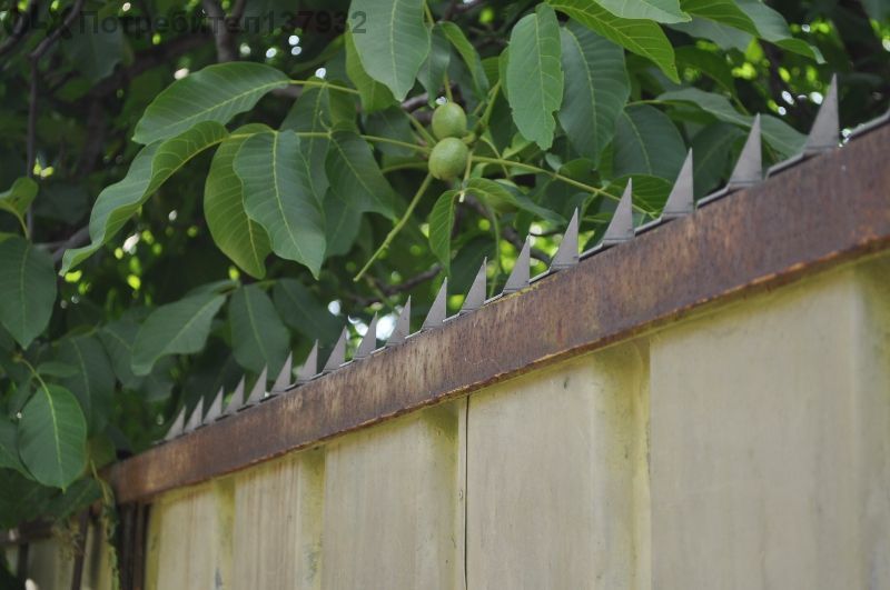 Шипове за ограда