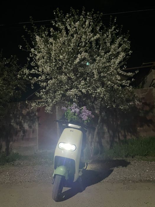 Мопед чуть чуть покотцан