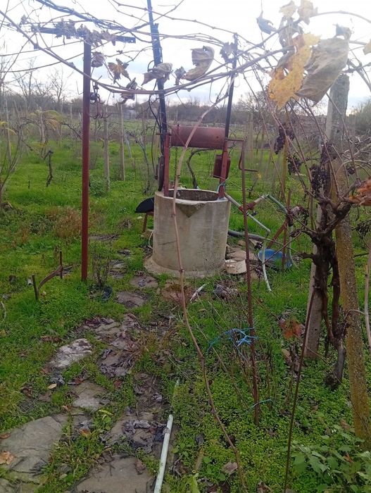 къща с двор с. Биково