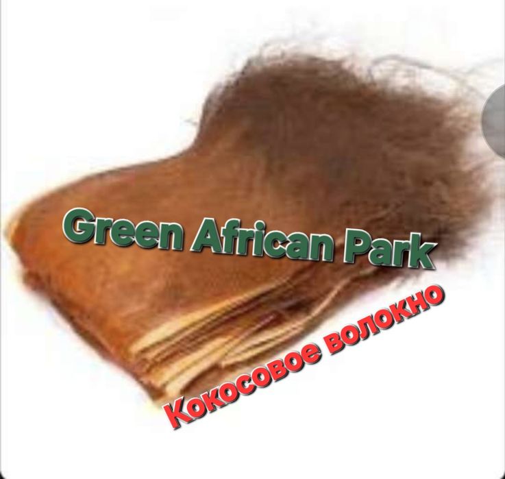 Пальмовы  листья