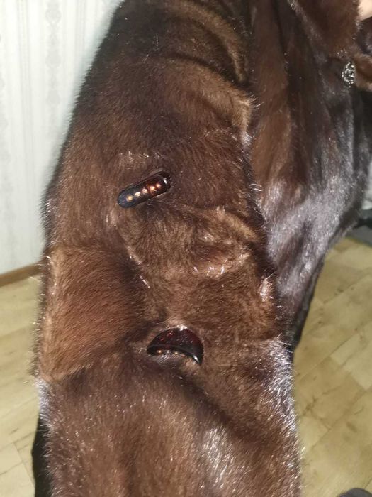 Норковая шуба б/у