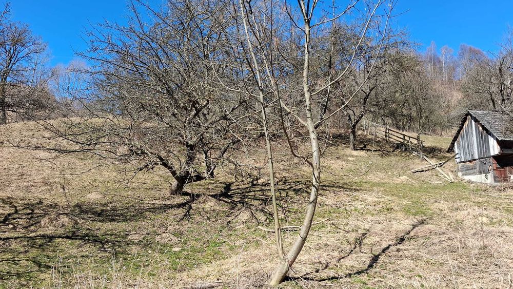 Vand teren dambavocioara 1990 mp