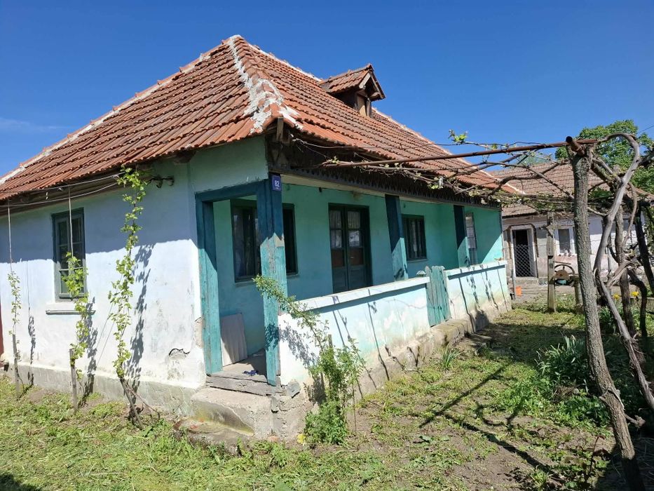 Casă de vânzare în sat Busu, comuna Grecești, județul Dolj.