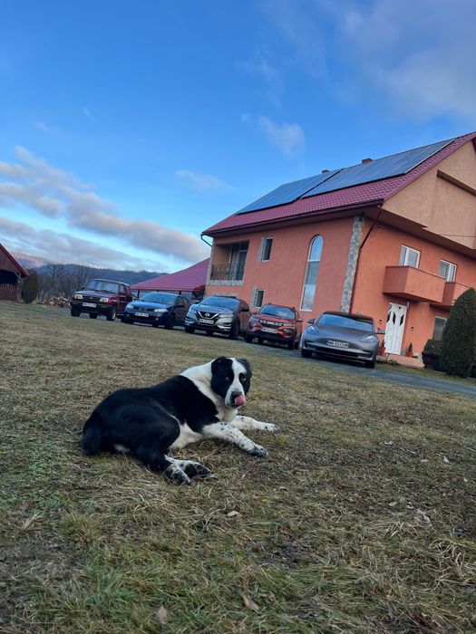 Pc Gaming I7 1050 Ti