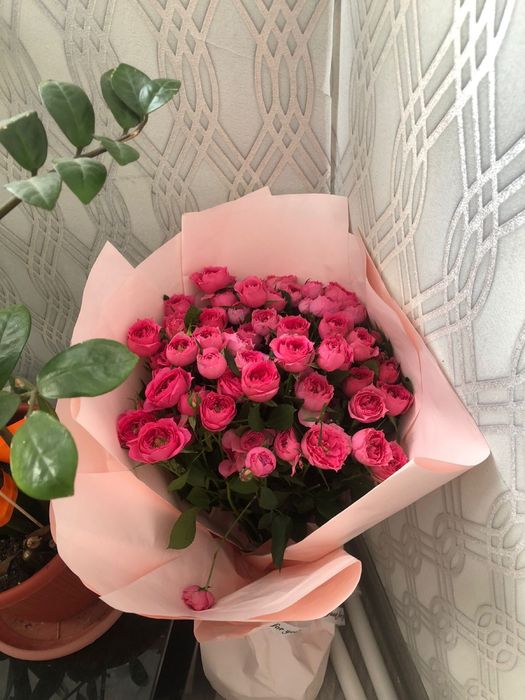Цветы продам срочно