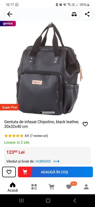Gentuta Chipolino