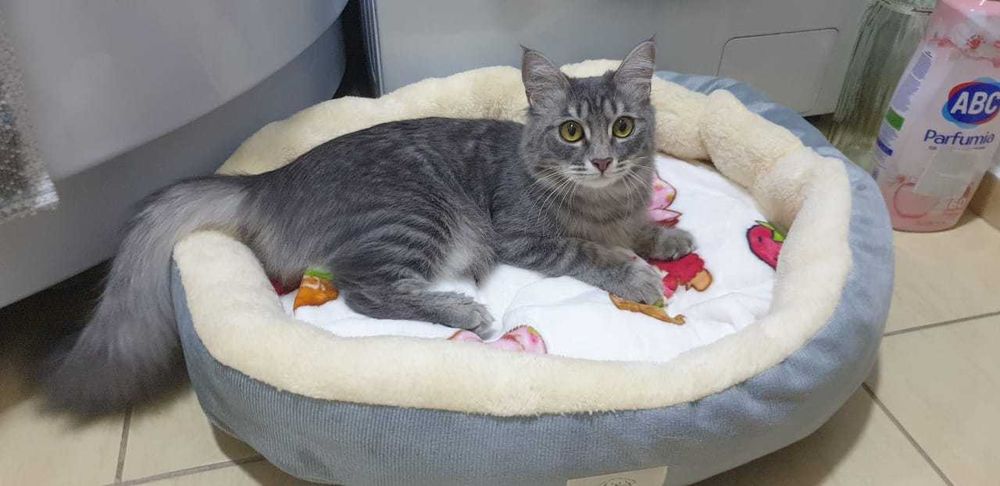 Лтдадим принцессу в хорошие руки