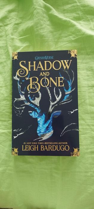 Shadow and bone trilogy by Leigh Bardugo