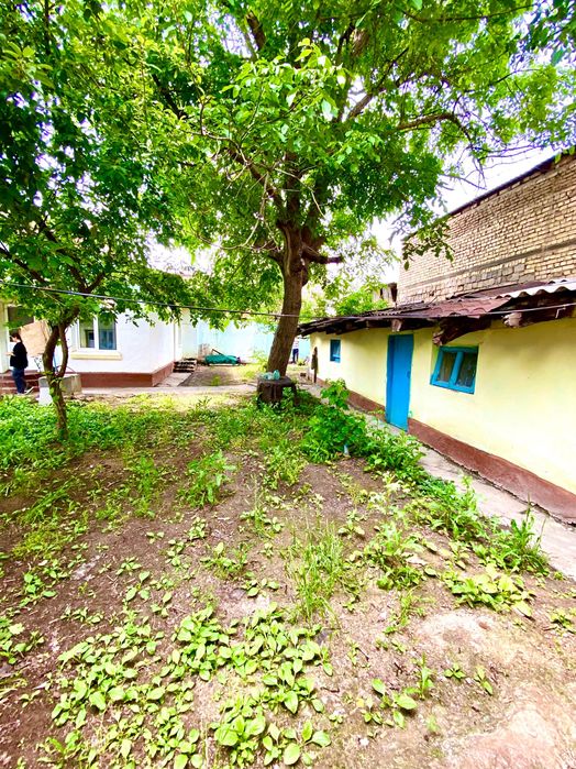 Продается дом с участком, уникальное месторасположение!