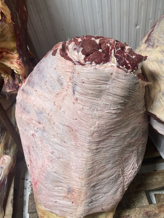 Мясо молодняк говядины