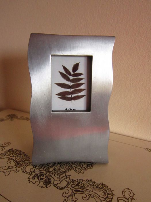 cadou rar miniatura botanic metal masiv inoxidabil tablou Germany'90