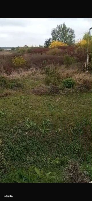 Teren intravilan de vanzare, Calea Lugojului