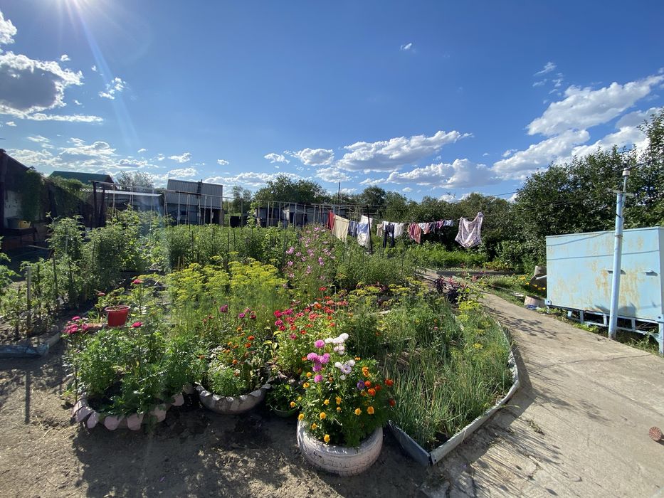 Продам срочно