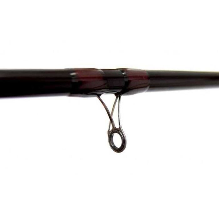 Мач Въдица Focus CARP MATCH