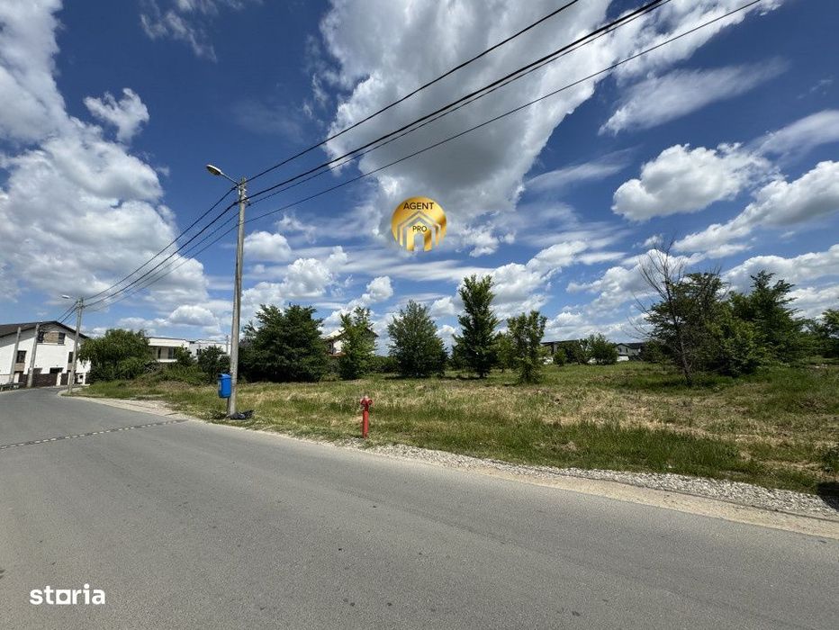 Teren Intravilan 20.000mp - Locatie Excelenta langa Penny Odaile!