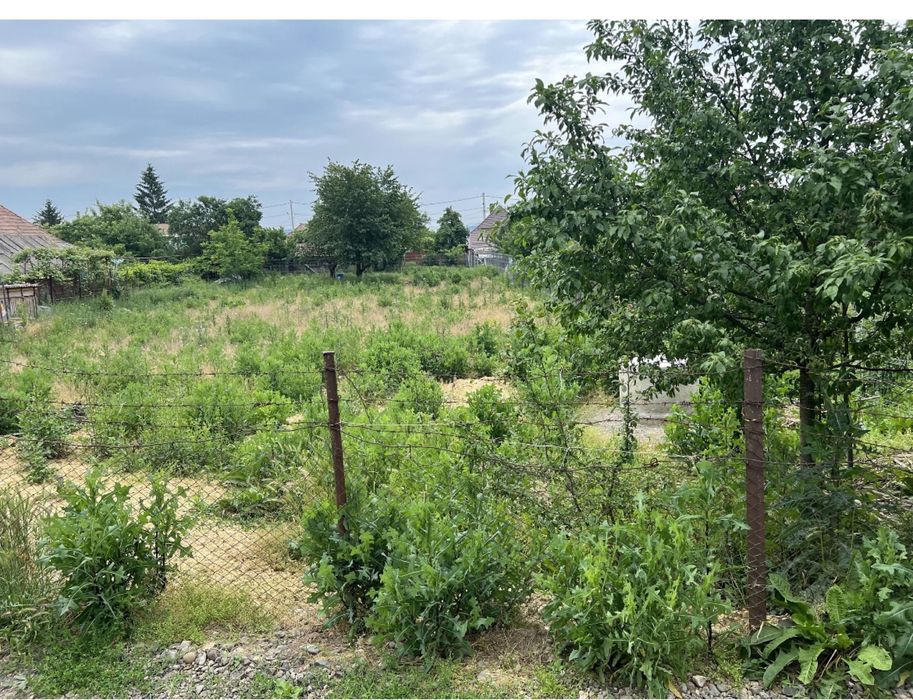 Vând teren intravilan central in Nazna.     Informatii la telefon