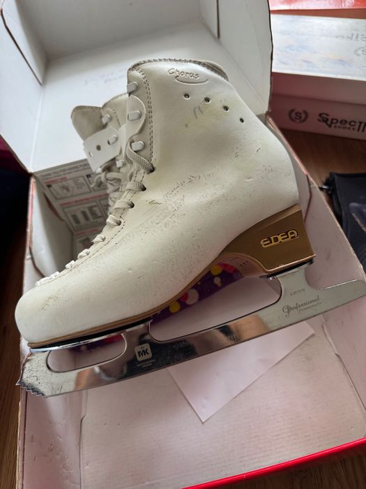 Коньки Edward chorus