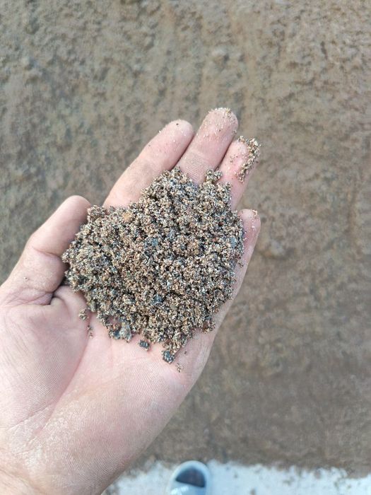 Klines kampot sheben