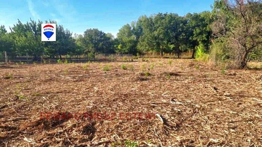 УПИ за продажба в с. Ряхово, обл. Русе