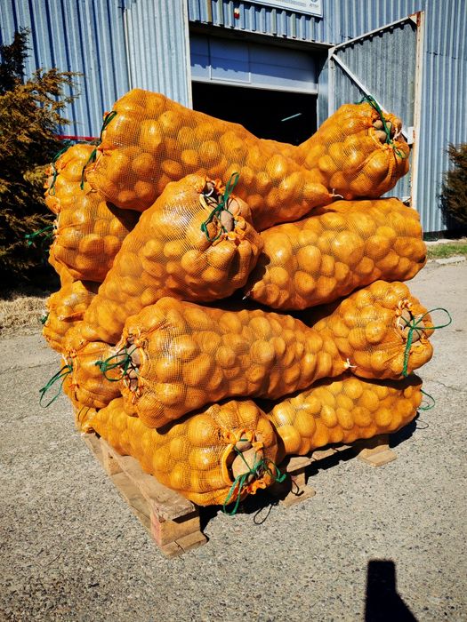 Картошка одборны