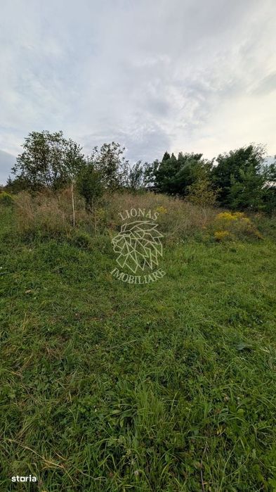 Teren intravilan 1180 mp cu utilitati-ideal casa-Zona Zavoaie