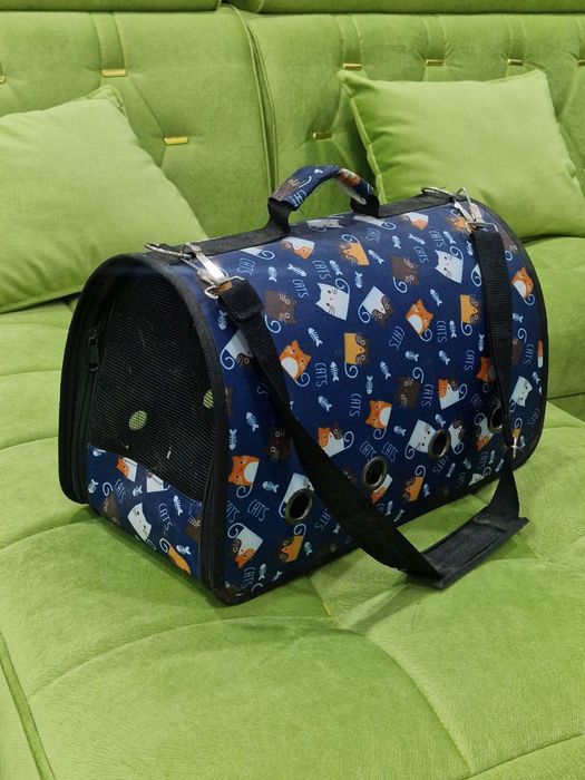 Scottish fold mushuklari sotiladi sumkasi blan