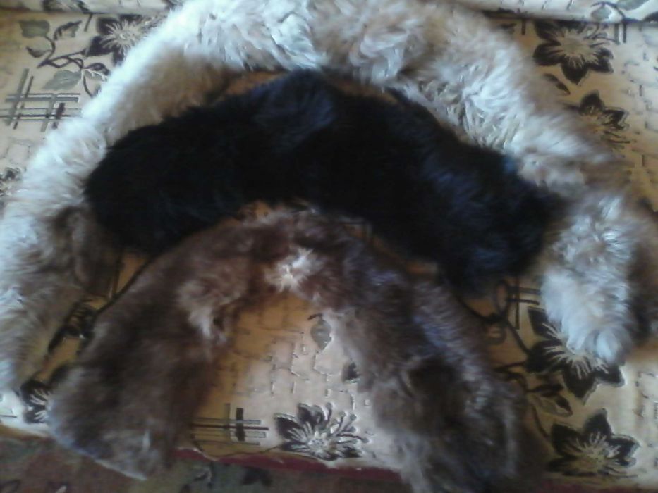 Продаю воротник  песец, соболь