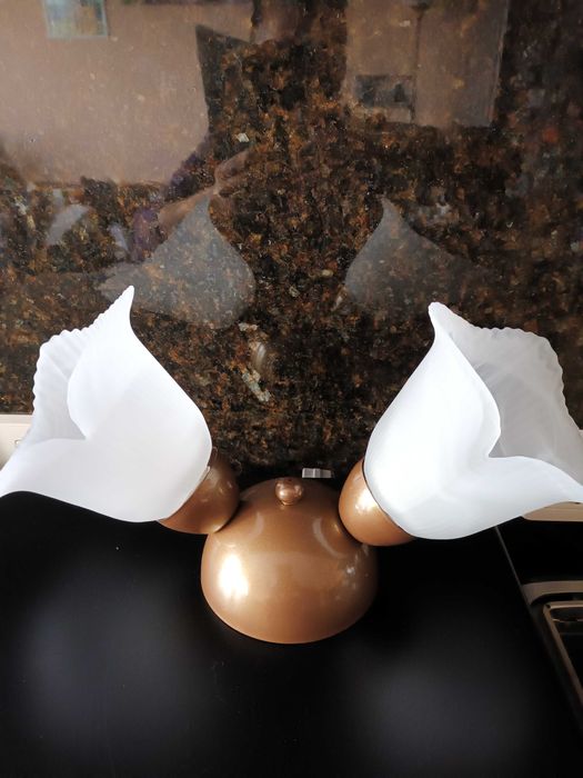 Лампи (спотове) за таван