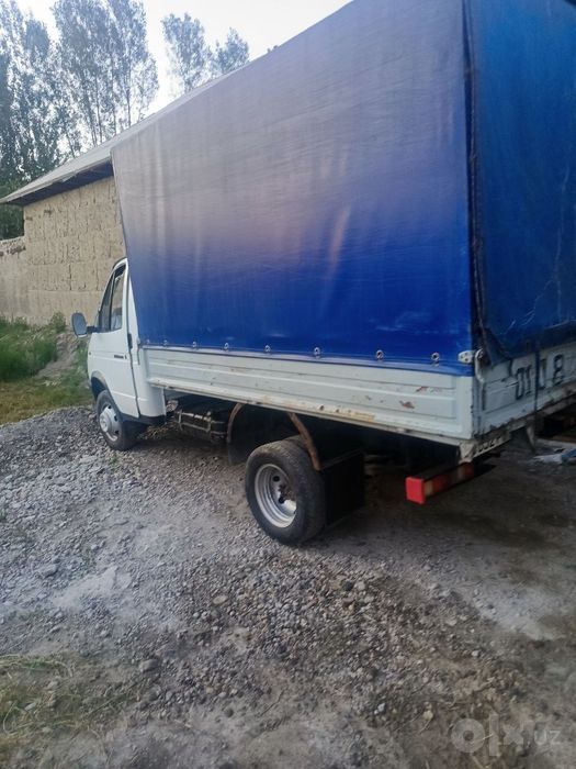 Gazil. gazel.  Газел.  газил. 2002