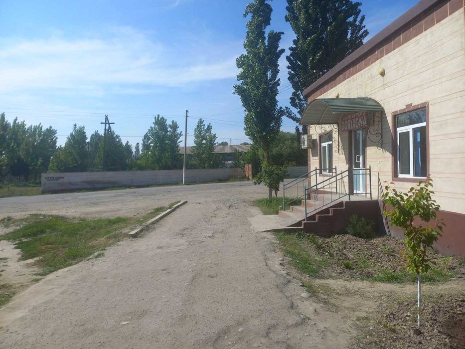 Dorixona (Jixozlarsiz)