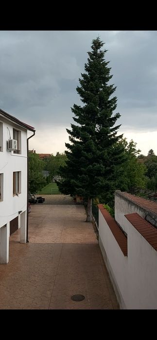 Ofer spre inchiriere apartament central