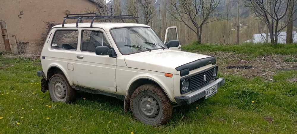 Нива родная краска