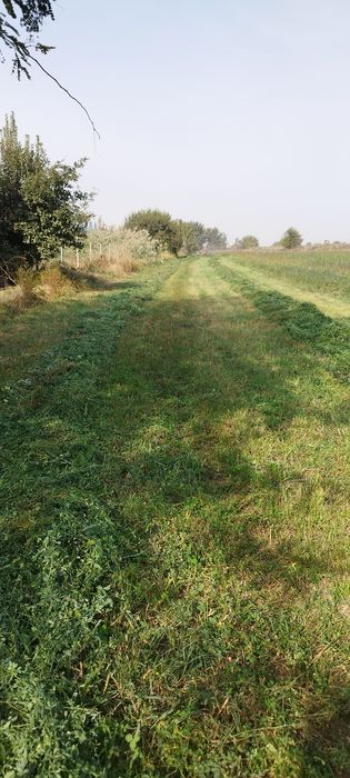 Поле Участо  2га