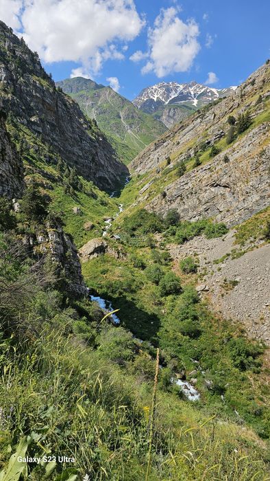 Haqiqiy togʻ asali. 100% Чистый горный мед 100%