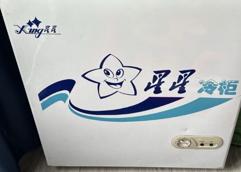 Ремонт Морозильников холодильников Заправка ветриных холодильников