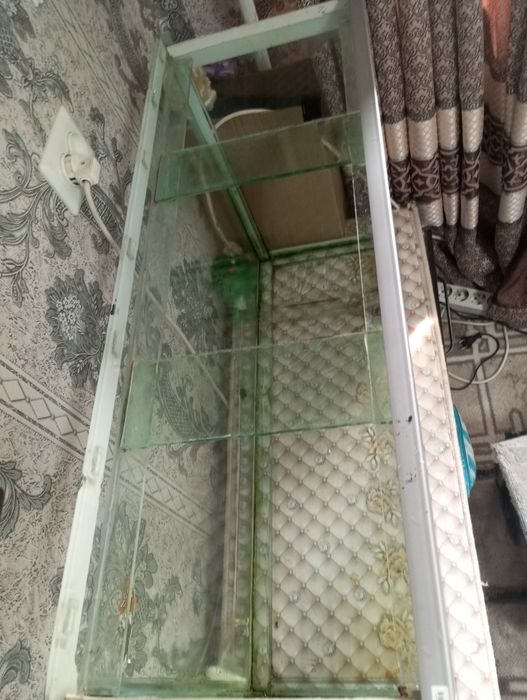 аквариум сотилади