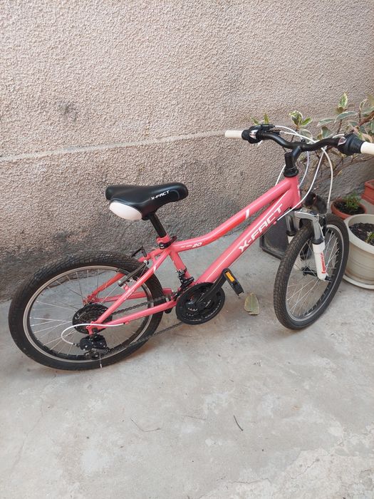 Bicicleta X-Fact MTB Princess 20"
MTB Princess 20"

Bicicleta pentru copii