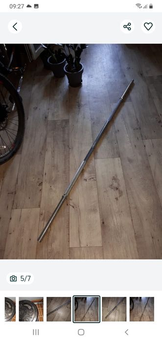 Диски и гриф Торнео