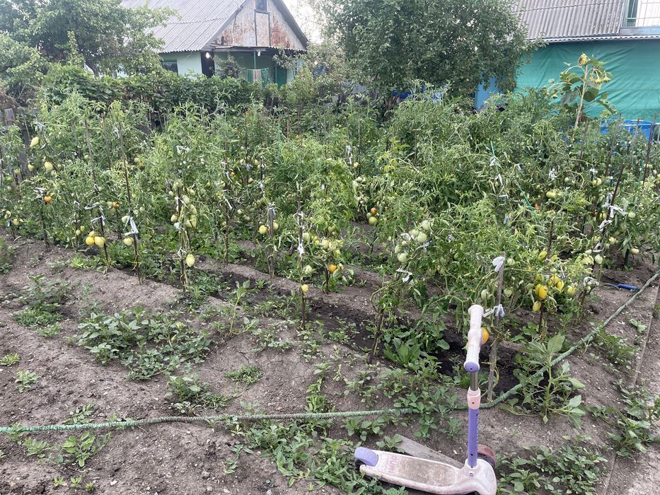 Продам Дачу в сообществе Черемушки