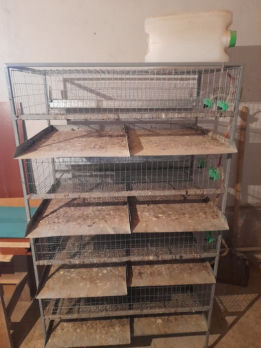 Сетка для перепелок 1 шт.