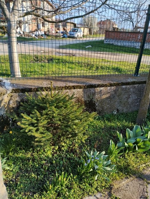 Продава се Къща в с. Шишманци, Област Пловдив - 120 кв.м за 500 €/кв.м - Снимка #3