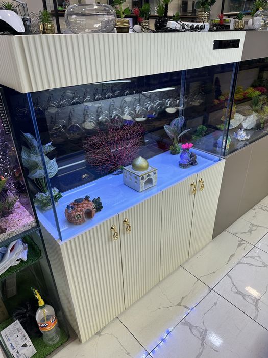 Akvarium Kirashiniy 120 sm