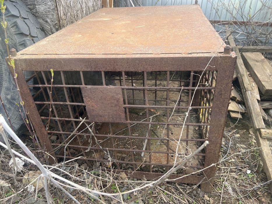 металическая клетка