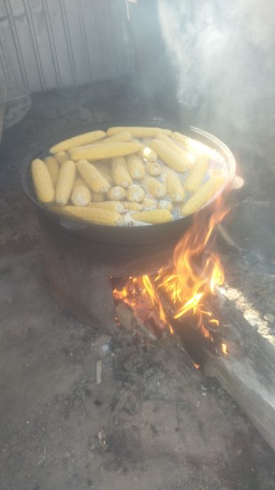 Орманда ауызға алады